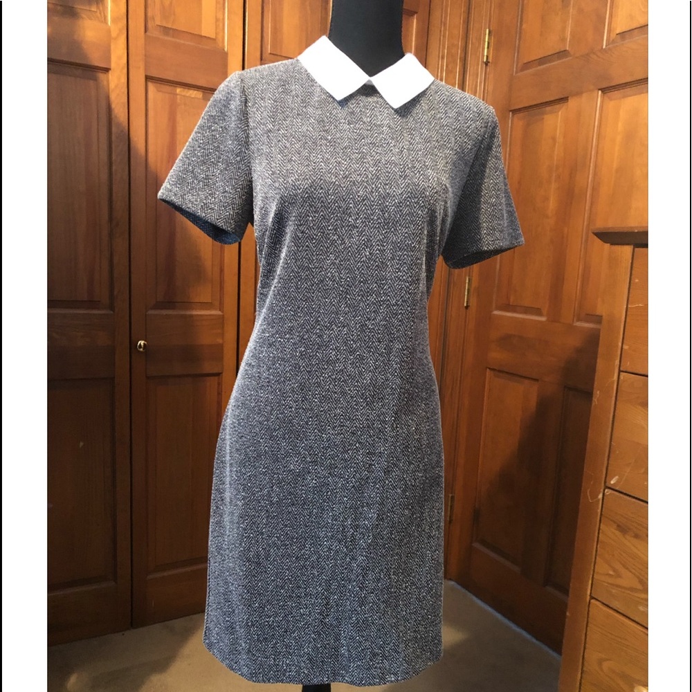 [TOMMY HILFIGER] Short Sleeved Collared Dress